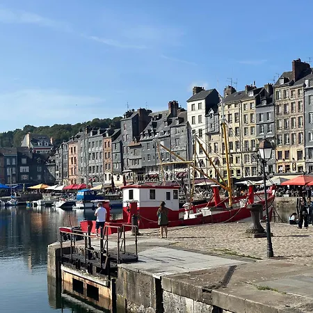 Rénové - Centre - Parking - à Pied